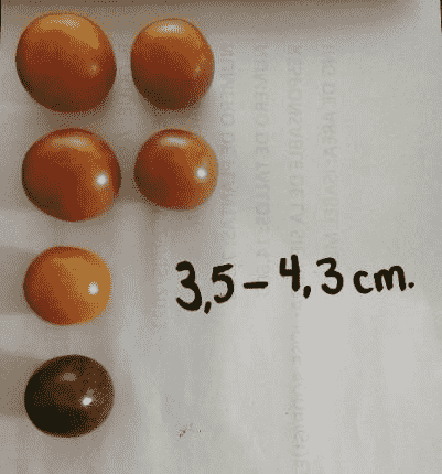 images/1657872337773cherry tomato grading machine.png